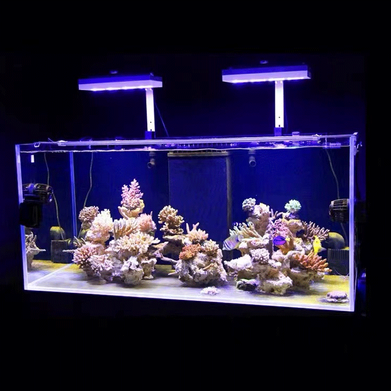 Aqua Illumination AI Hydra 32H - Marine Coral ulasan dan harga