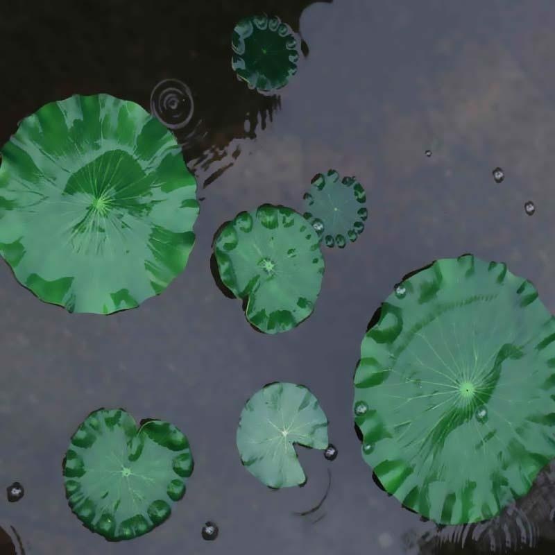 2026 Artificial Water Lily Lot - Ocean Aquarium ulasan dan harga